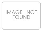 Home and Mold Inspections - Ozonation